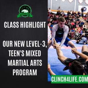 Class Highlight: Our New Level-3, Teen's Mixed Martial Arts Program